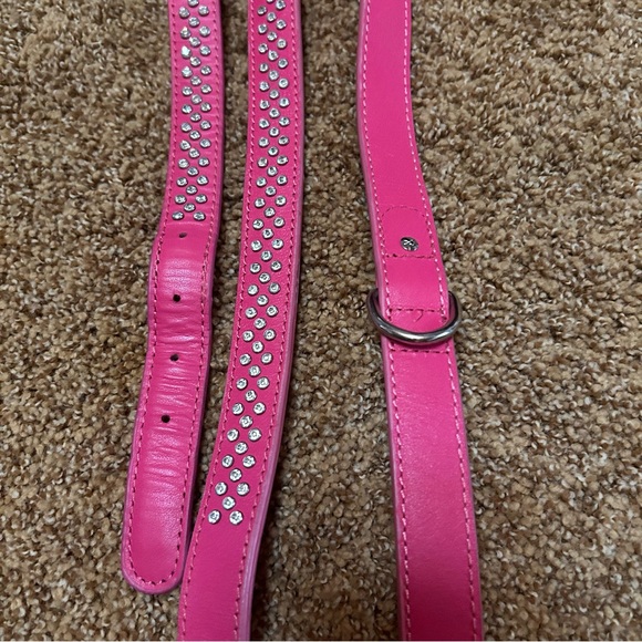 Larger Collar with Matching Leash - Picture 11 of 13
